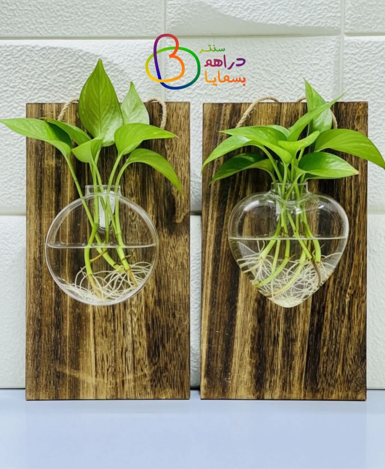 🔥دورق تجذير تعليك🔥